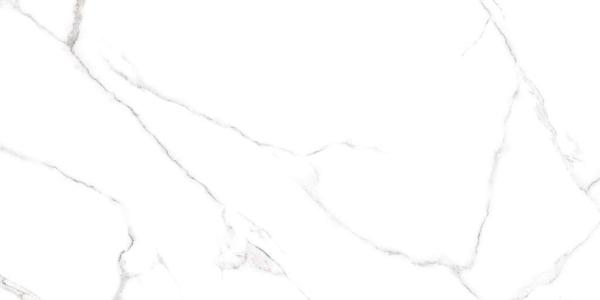 GFU60120CRR00R Напольный Carrara Белый матовый 120x60 - фото 4