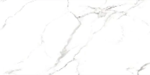 Напольный Glossy Carrara 50163 60x120