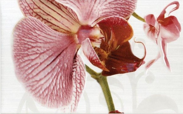 377087 Панно Fiori Dec. Орхидея - фото 5