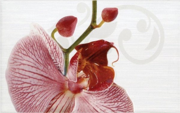 377087 Панно Fiori Dec. Орхидея - фото 3