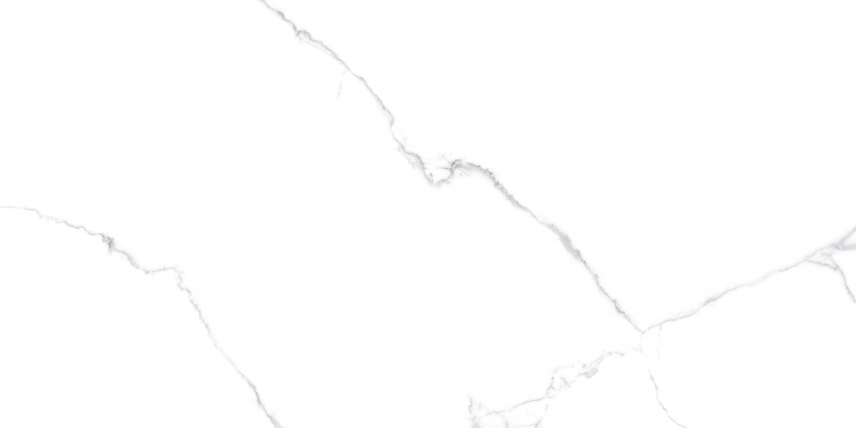 Напольный Atlantic White i белый полированный 60x120 - фото 4