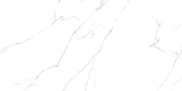 GFU60120CRR00R Напольный Carrara Белый матовый 120x60 - фото 5