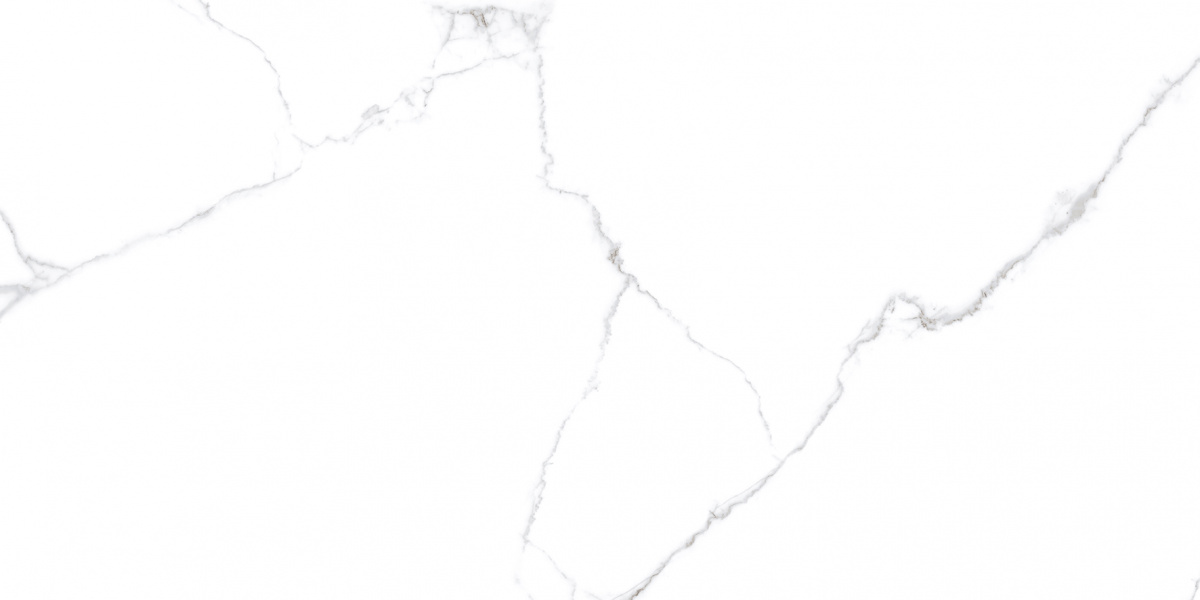 Напольный Atlantic White i белый полированный 60x120 - фото 3