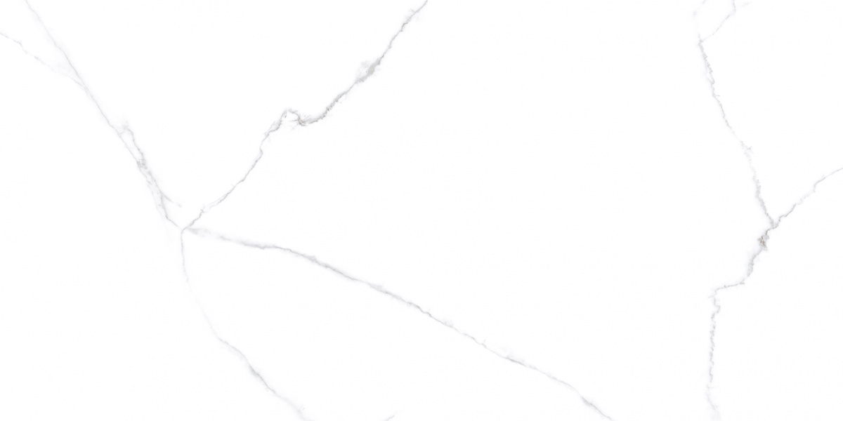 Напольный Atlantic White i белый полированный 60x120 - фото 5