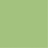 WAA1N465 Плитка Color One Light green mat 20х20