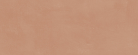 7254 Плитка Каннареджо Оранжевый матовый 20x50x0.8