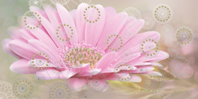 04-01-1-08-05-23-370-1 Декор Мечта Песочный цветок