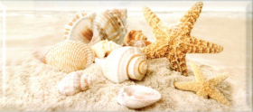 336763 Декор Legend/ Magnoliya Seashells крупные
