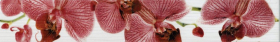 267081 Бордюр Fiori Cen. Орхидея